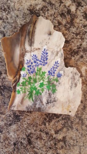 JoRene petrified wood/rock  handpainted and signed