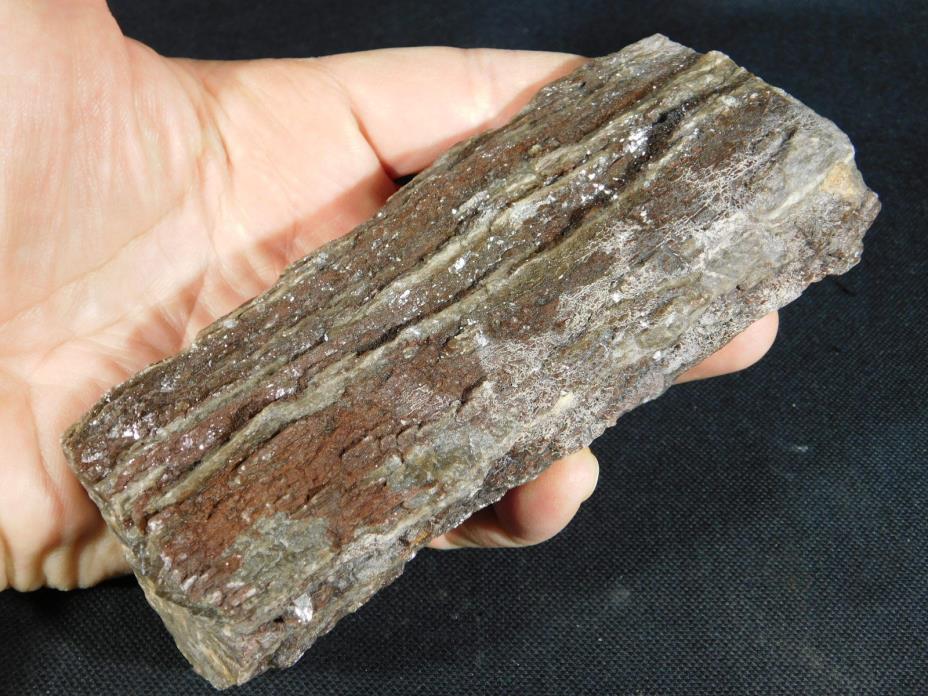 A Petrified Wood Fossil With SILVER SHEEN From Utah! 430gr e