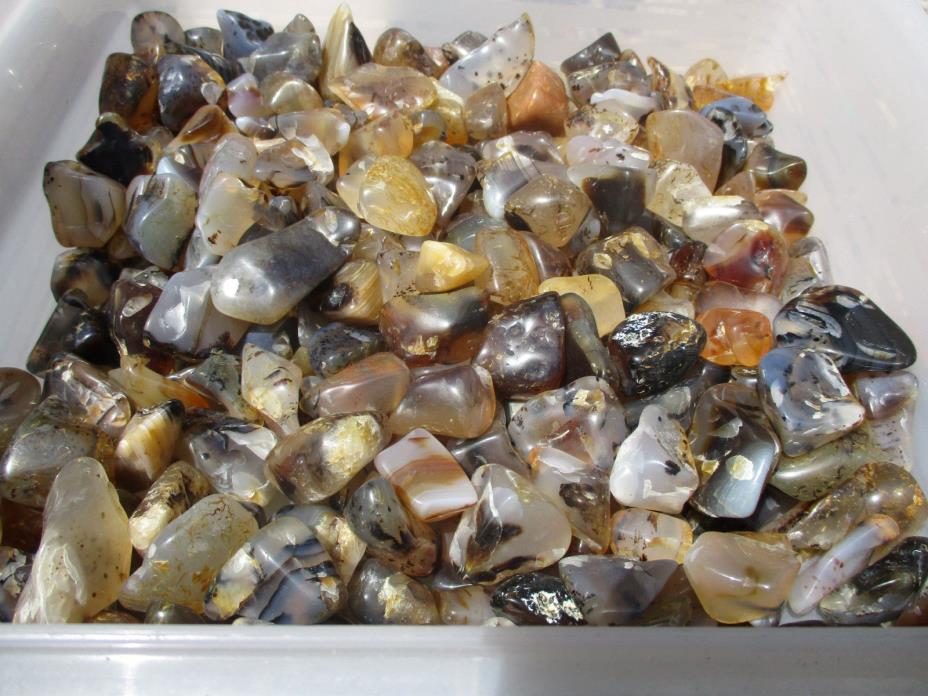 4 1/2 pounds of polished semi precious stones mostly montana agate (c)