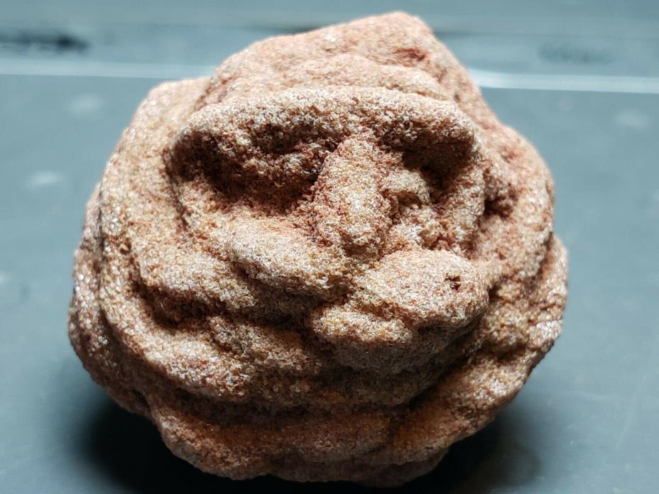 Barite Rose from Oklahoma (1.4 oz.)