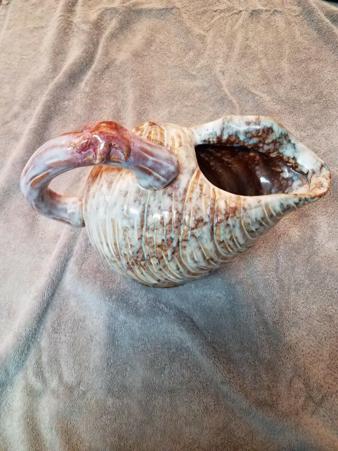 Conch Shell Pitcher Very Unique