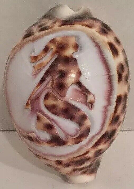 VINTAGE HAND CARVED CAMEO MERMAID CONCH SEA SHELL Unique! Rare! 3.5