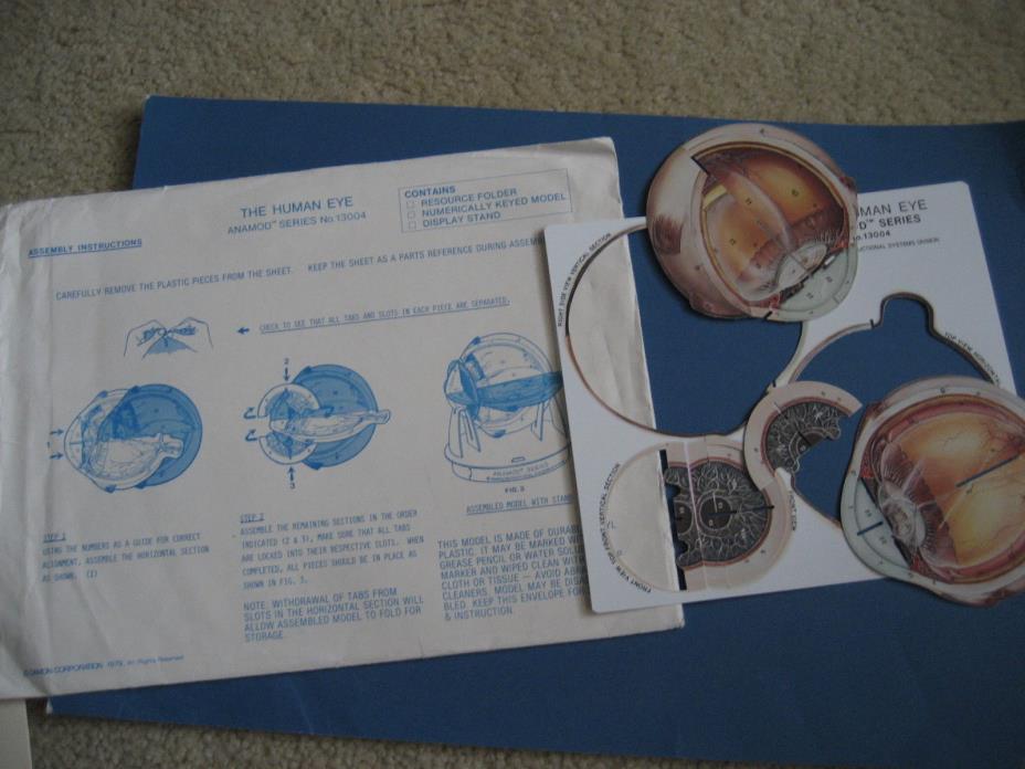Vintage THE HUMAN EYE MODEL Anamod Series 1979c DAMON CORP Durable Vinyl Plastic