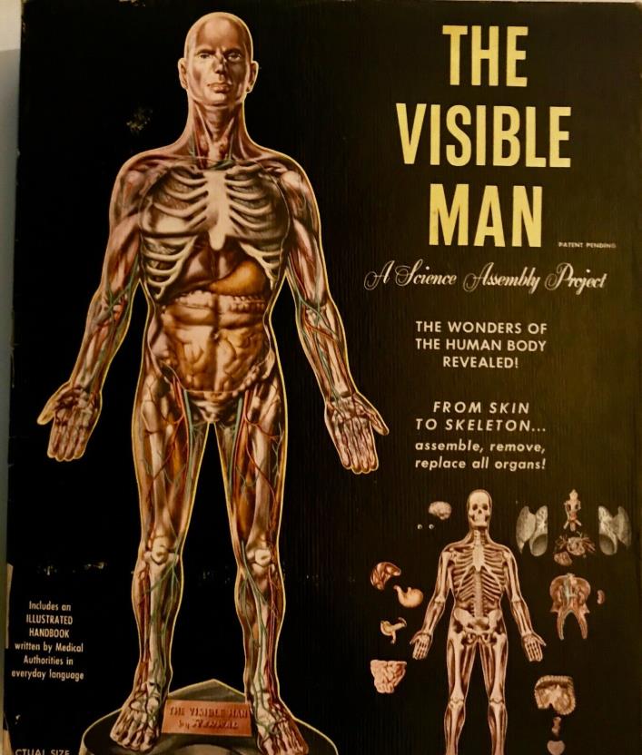 1959 THE VISIBLE MAN IN ORIGINAL BOX~A SCIENCE ASSEMBLY PROJECT BY RENWAL~N.Y.