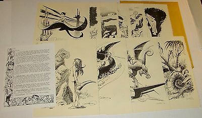 ORIG 1973 DAVE COCKRUM - SIGNED & NUMBERED LITHO SET - COMPLETE WITH 10 PLATES