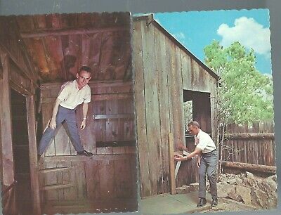 Lot of 2 Cosmos of the Black Hills Stand on Wall Ball Rolls up Hill SD Postcards