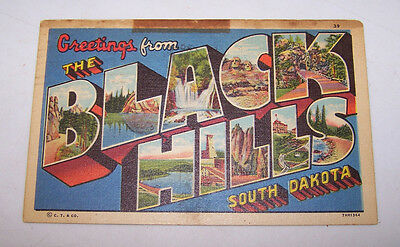 1955 BIG LETTER Greetings from THE BLACK HILLS SOuth Dakota Postcard