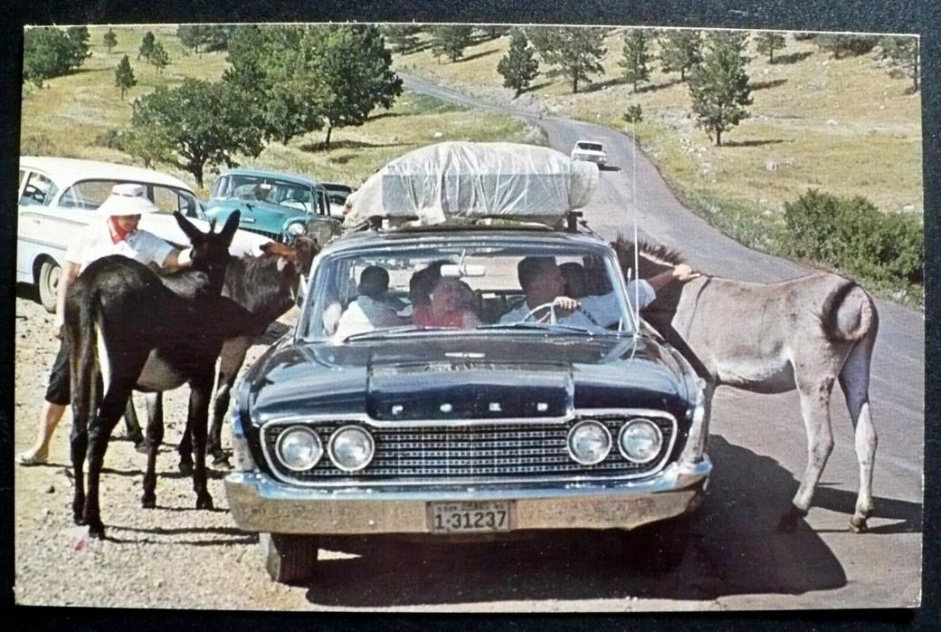 1960 Highway Begging Donkeys of the Blackhills SD, Ford Station Wagon