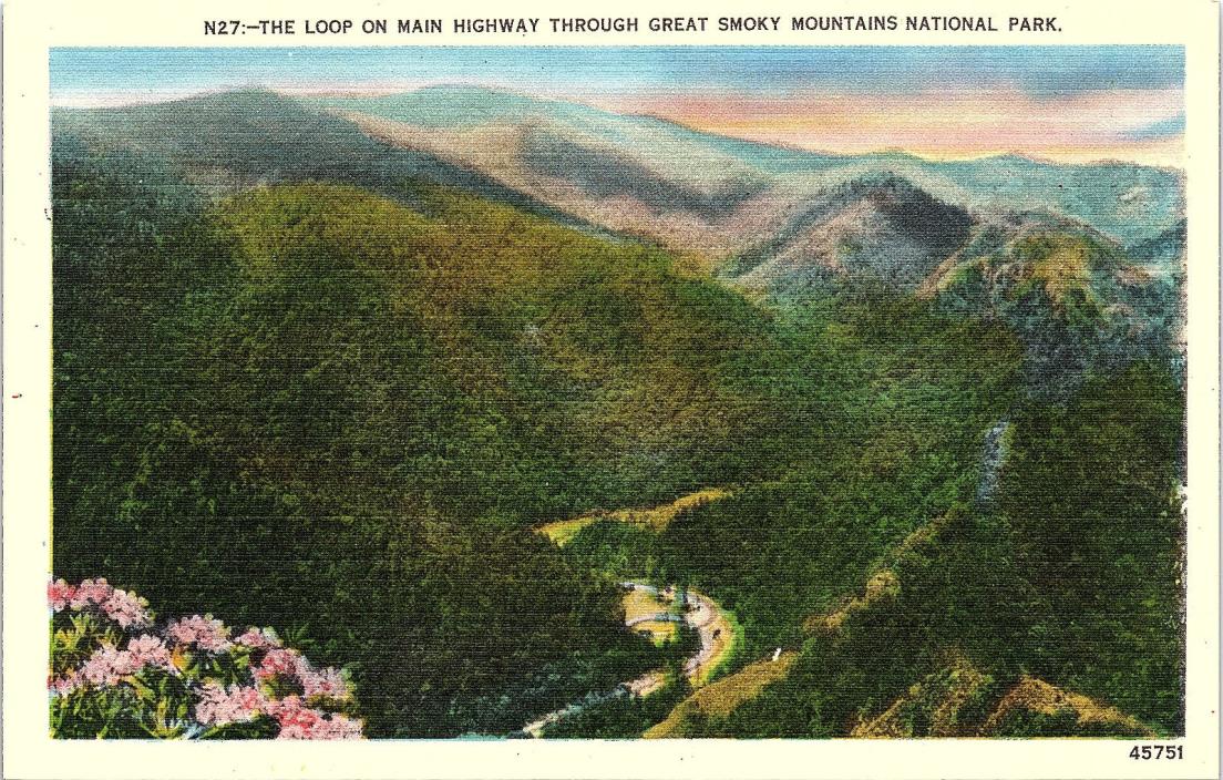 Smoky Mountains, Tennessee, Main Highway, Loop - Postcard (L1)