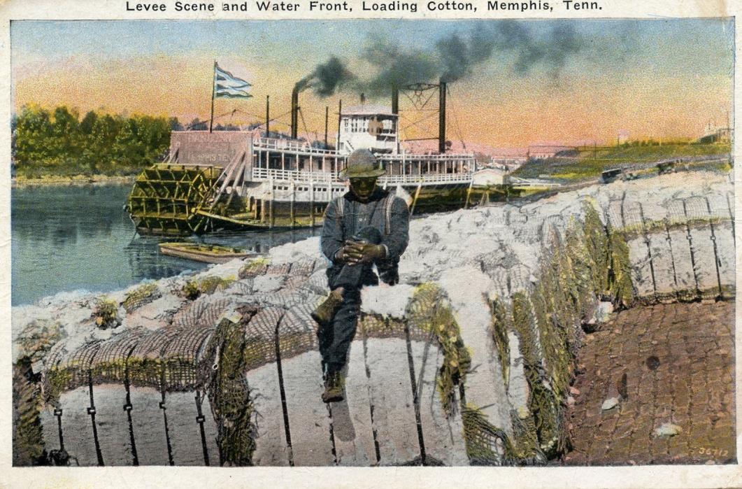 1910's-30's Postcard Levee Scene & Water Front, Loading Cotton, Memphis, Tenn.
