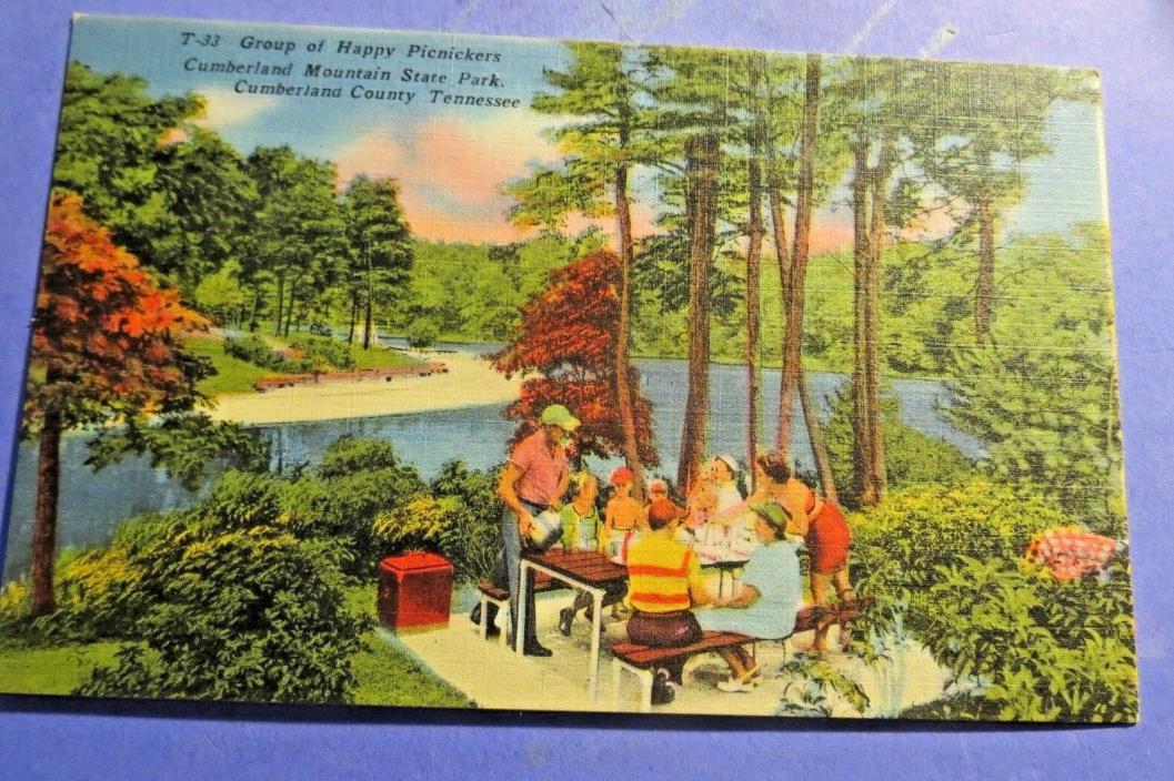 Cumberland Cty Tennessee Picnickers Vintage Old  Postcard PC3923