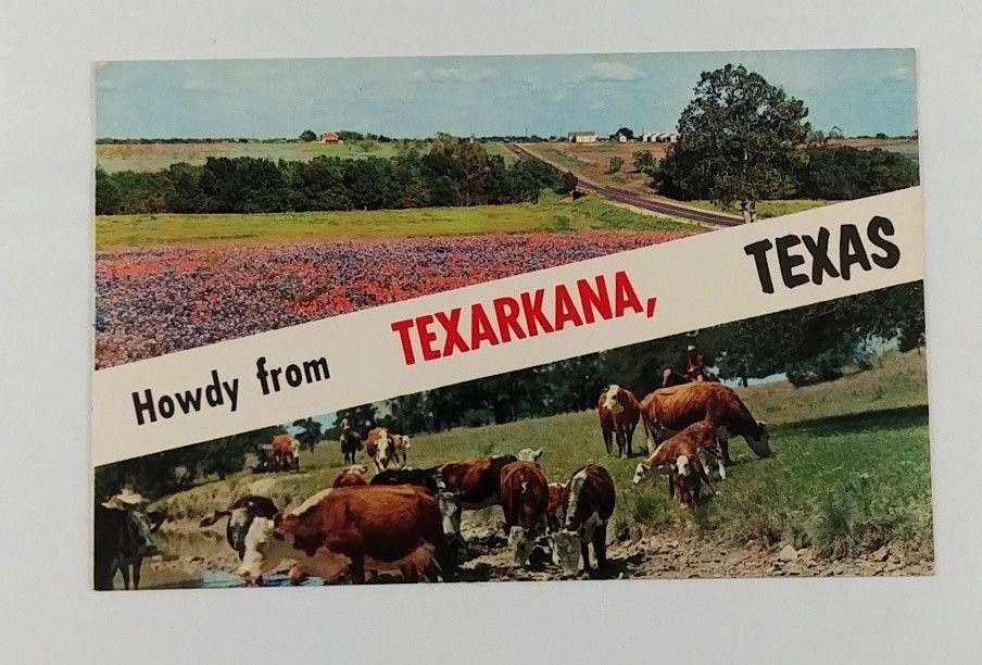 Howdy From TexArkana TX AR Postcard Bluebonnets Flowers Cows Farm 1970s