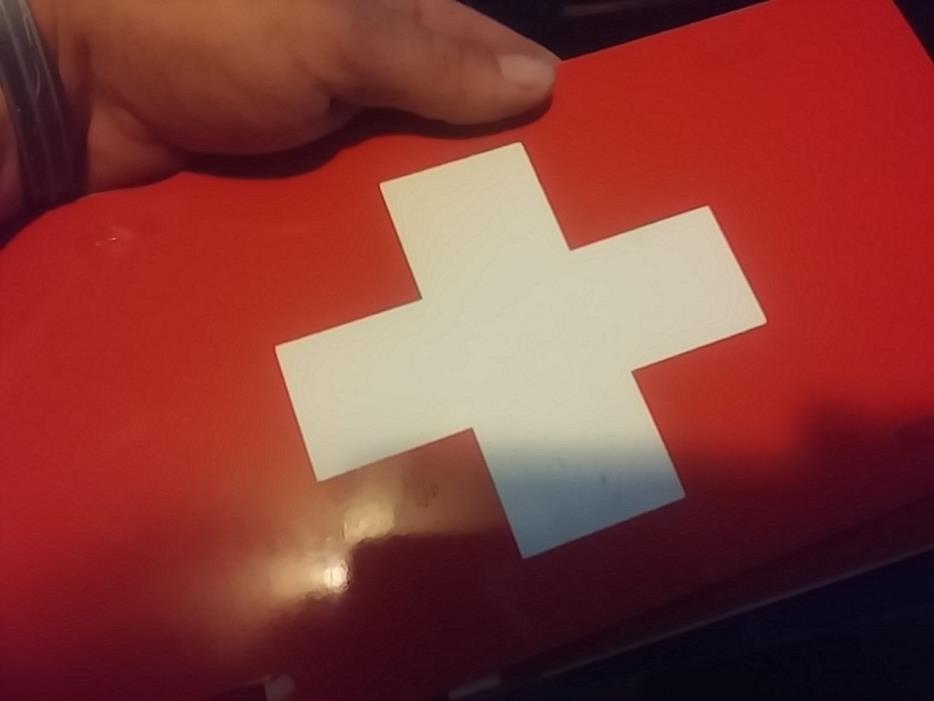 Handmade SWITZERLAND SWISS FLAG LICENSE PLATE DISPLAY