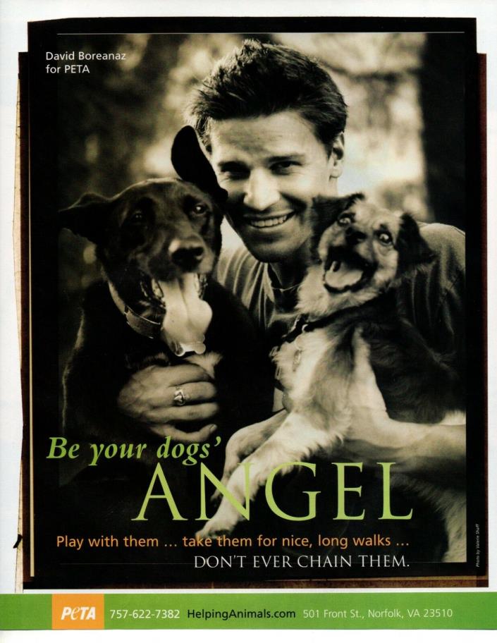David Boreanaz 1 Page 2004 Magazine Picture Clipping
