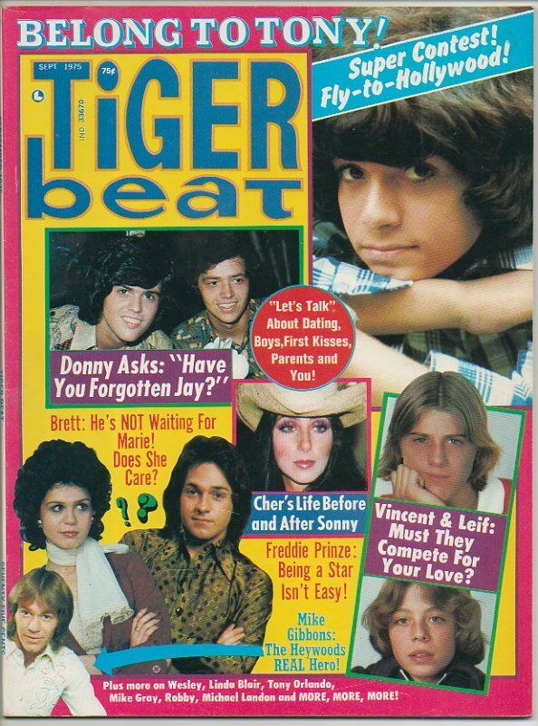 TIGER BEAT MAGAZINE Sept 1975 Tony DeFranco DONNY & MARIE OSMOND Cher HUDSONS +