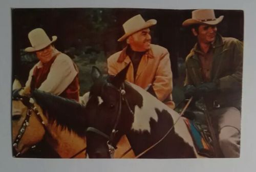 Vintage Postcard BONANZA Cast  Pomderosa Ranch Greene Blocker Landon Cartwright