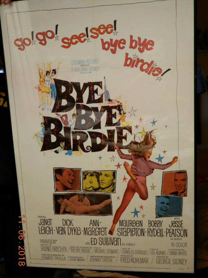 Ann-Margret Bye Bye Birdie 1963 Original 27x41