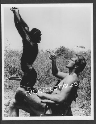 8x10 Photo~ TARZAN 1960s TV Series ~Ron Ely with Chimp monkey