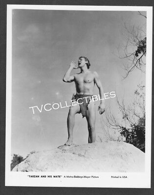 8x10 Photo~ TARZAN AND HIS MATE ~Johnny Weissmuller ~Jungle yell
