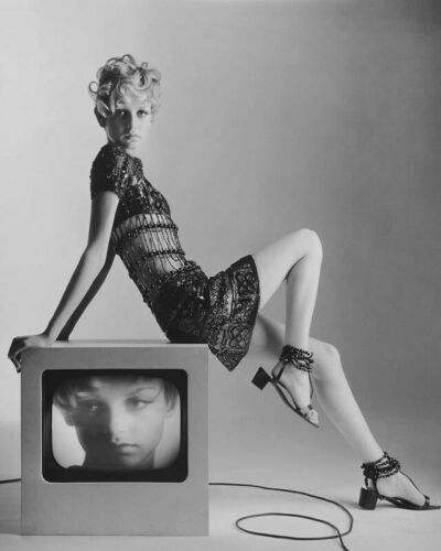 Twiggy Glossy 8x10 Photo Picture Print 0157160917