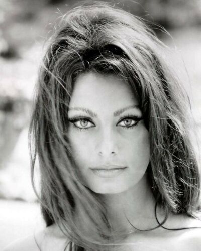 Sophia Loren Glossy 8x10 Photo Picture Print 4240160917