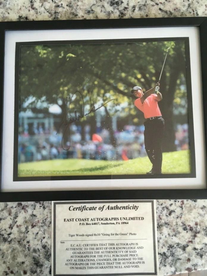 Autographed Tiger Woods picture 8x10