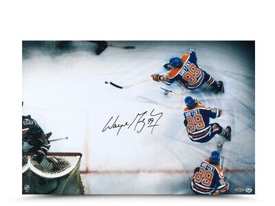 Wayne Gretzky Signed Autographed 16X24 Photo 