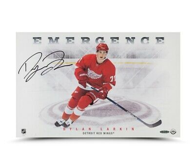 Dylan Larkin Signed Autographed 11X17 Photo 