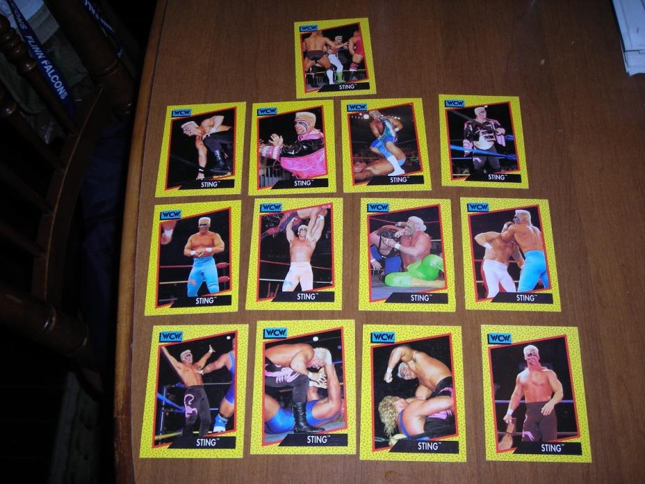 1991 WCW Wrestling card lot (13), all 