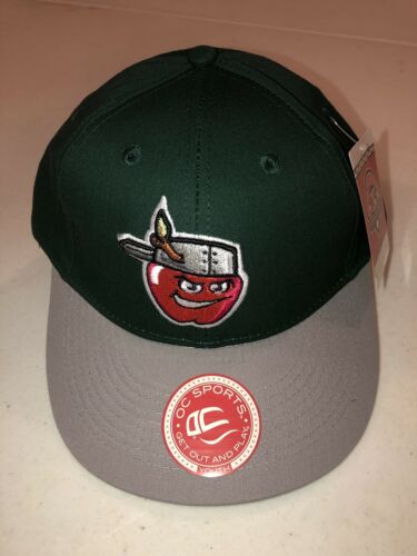 FORT WAYNE TINCAPS Minor League Replica Baseball Adjustable YOUTH Hat