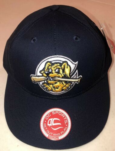 CHARLESTON RIVERDOGS Minor League Replica Baseball Adjustable YOUTH Hat