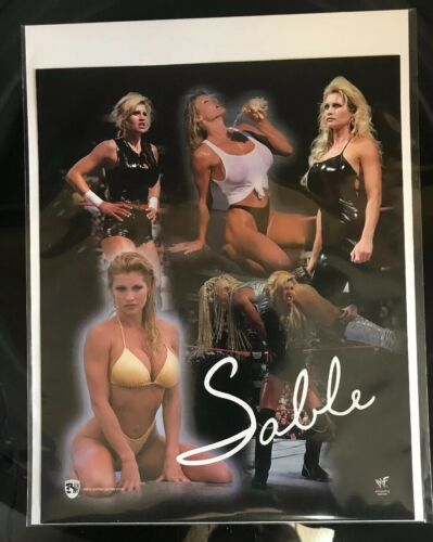 WRESTLING  8 X 10 COLOR ~SABLE COLLAGE PROTECTED IN A SLEEVE AND BACKING BOARD