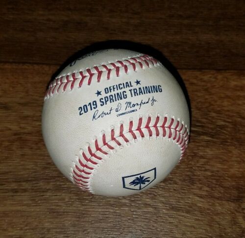 Game Used 2019 MLB Spring Training FLORIDA Baseball Rays vs Yankees Ball MINT