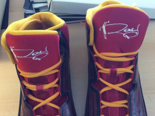 Ds Ray Allen Jordan PE Aero Mania Miami Heat Dual Signed / Auto Shoes