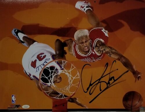 Dennis Rodman Autographed Signed 16x20 Chicago Bulls JSA