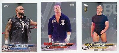 2018 Topps WWE Then Now Forever SILVER Parallel Card - KARL ANDERSON #25/25