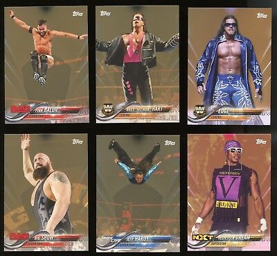 2018 Topps WWE Then Now Forever BRONZE Parallel Card - JEFF HARDY