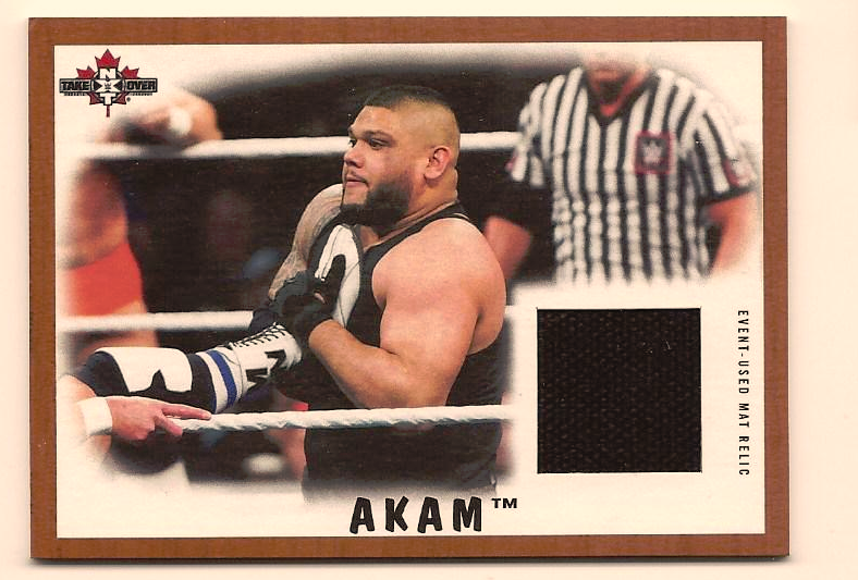 AKAM 2017 TOPPS WWE HERITAGE AUTHENTIC SURVIVOR SERIES MAT RELIC /99