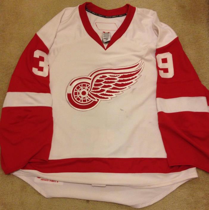 Dominik Hasek Gameworn Detroit Red Wings 2007-2013 photo-matched jersey