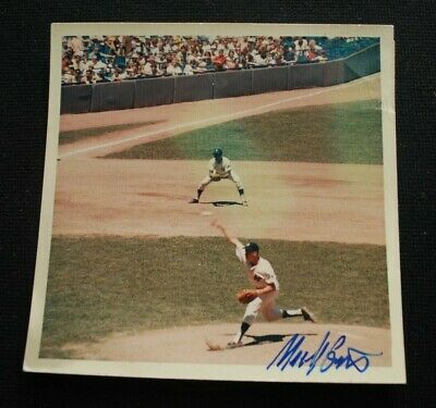 Original 1969 Mel Stottlemyre NY Yankees 5x5 Michael Grossbardt Color Photo-Rare