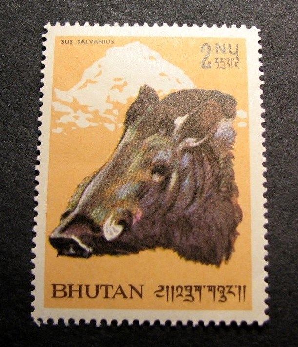 Bhutan Stamp Scott#  64 Pigmy Hog 1966 MH   L126