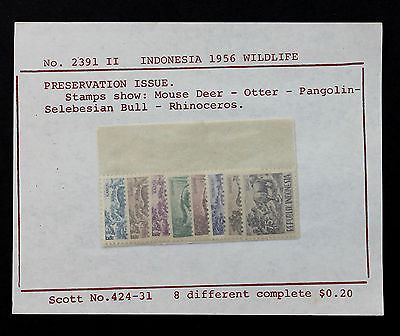 STAMP INDONESIA  SC# 424 - 431 MNH On Original Approval Card 1956 ASIA WILDLIFE