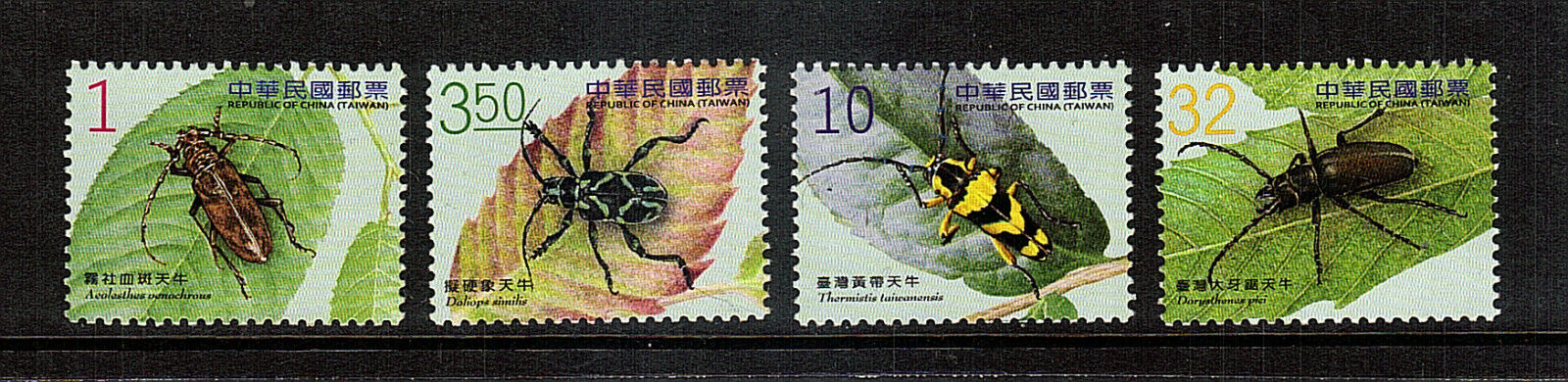 Beetles...Taiwan # 1   mnh