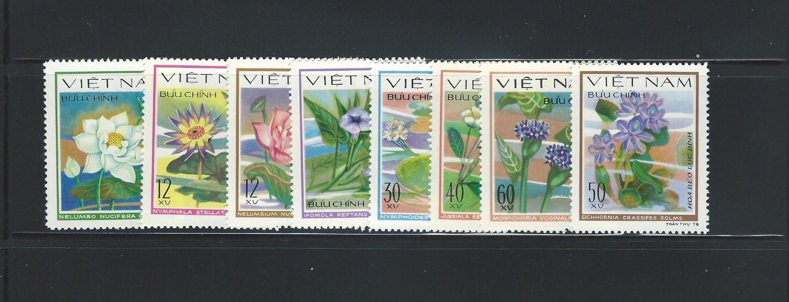 Vietnam - Scott #1038-1045 (Flowers)  MNH