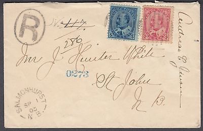 #90 & 91 on 'Salmonhurst', N.B. Registered Cover