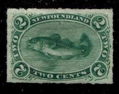 Newfoundland 38 SG 41 MH VF 2c 1876-1879 Is. [N3237] CV=$300.00