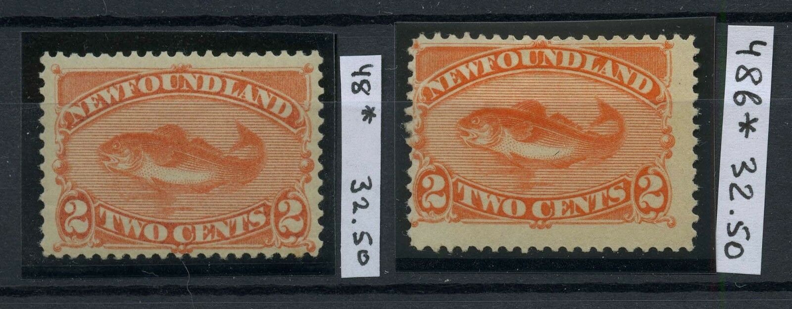 NEWFOUNDLAND 1887 Scott 48, 48b MH Fish CV$65.00