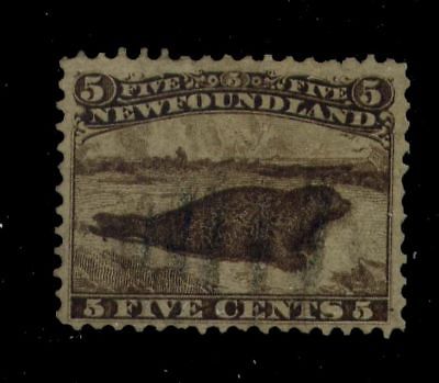 Newfoundland 25 SG 26 U  F/VF 5c Harp Seal [N2772] CV=$350.00
