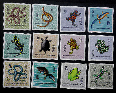 Poland Scott 1134-45 1145 Reptiles Amphibians Set of 12 1963 NH SNAKES TURTLES