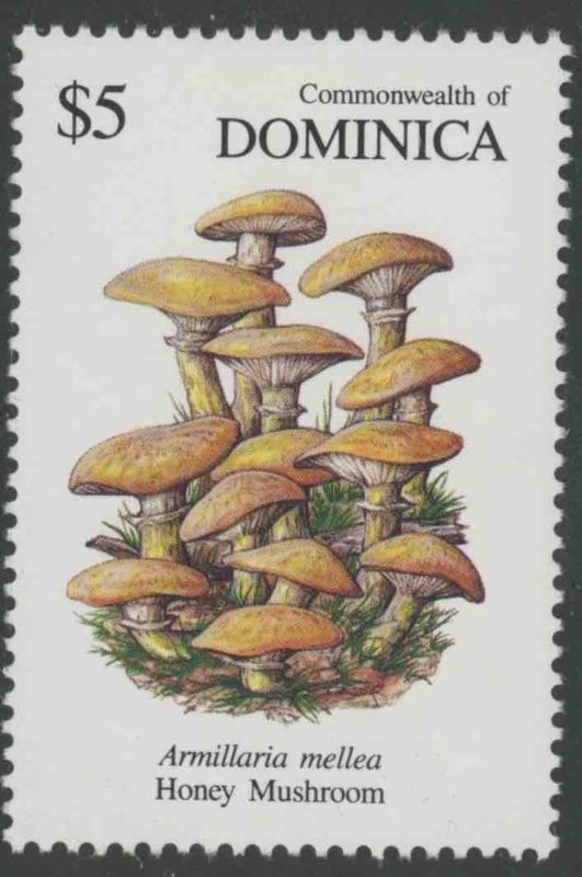 DOMINICA, MINT, #1318-25,OG LH/HR,CS/8,MUSHROOMS,(1)SHOWN,MAGNIFICENT CENTERING